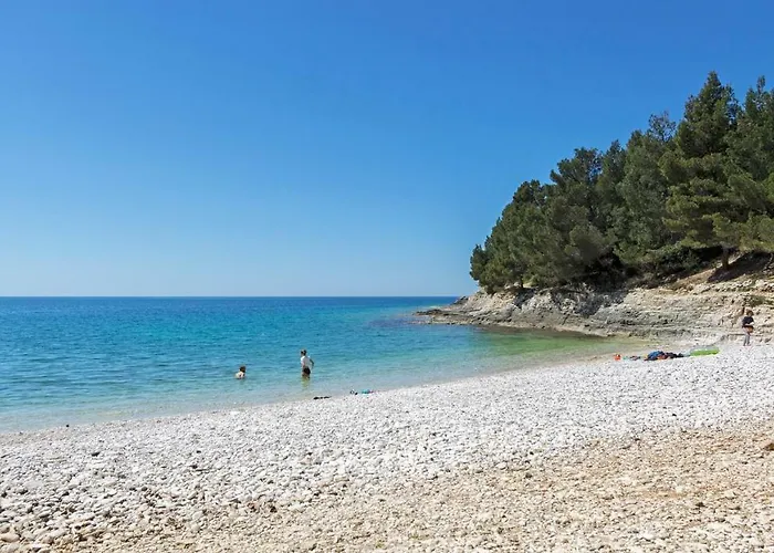 Center Big With Private Parking Daire Pula